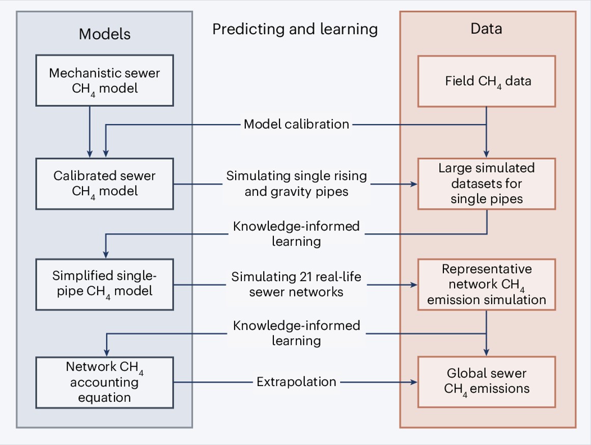 Estimating methane emissions from global sewer networks